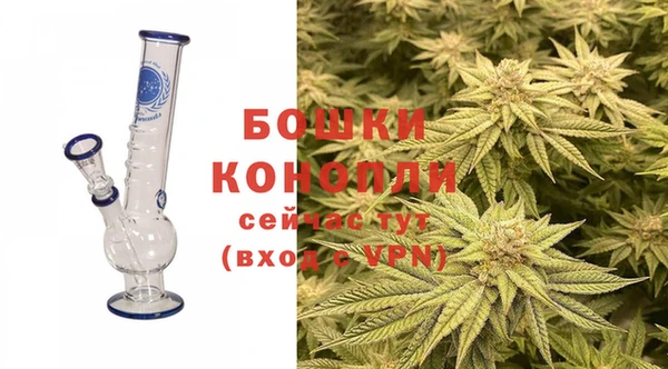 прущие крисы Бородино