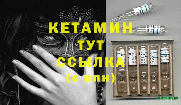 прущие крисы Бородино