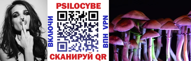 Галлюциногенные грибы Psilocybe  Ессентукская 